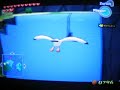 Zelda Wind Waker [glitch]
