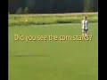 Cornsoccer