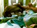 videos de Video016.mp4