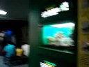 Sunshine City Aquarium