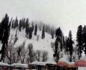teledysk, klip, Kashmir,- Rose