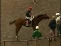 1994 Acorn Stakes - Inside Information