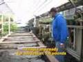 Food Love: Growing Power (Part 3 of 3)