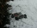 Cougar Schnee1