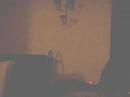Cat jumps for laser beam
