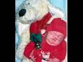 Bren's First Year