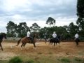 1 encontro de de cavaleiros( querencia do cowboy)parte  2. 035.avi