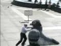Dont feed the pigeons
