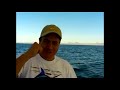 Yellowtail at San Pedro Nolasco Island. San Carlos, Mx