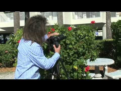 Understanding Depth of Field by Changing Aperture with Bryan Peterson