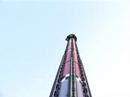 wonderland drop zone