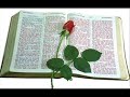 BIBLIA EN AUDIO MATEO CAPITULO 5 BIBLIA EN AUDIO MATEO CAPITULO 5