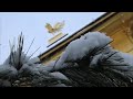 Kyoto 2008, Kinkakuji sotto la neve, ??? Federico Frillici Kyoto 2008, Kinkakuji sotto la neve, ??? Federico Frillici