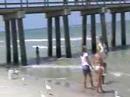 Egrets at Naples, Fla beach