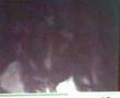 Ghost (Vampire / Pontianak)