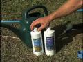medical marijuana cultivation 101: part 2 of 2