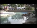 Southbank Southbank