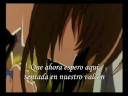 Aun Te Amo - Sakura