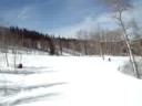 Leo e Thiago - Bachelor Gulch, Beaver Creek Leo e Thiago - Bachelor Gulch, Beaver Creek