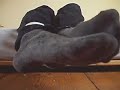 Dark grey patterned socks 001 - bound