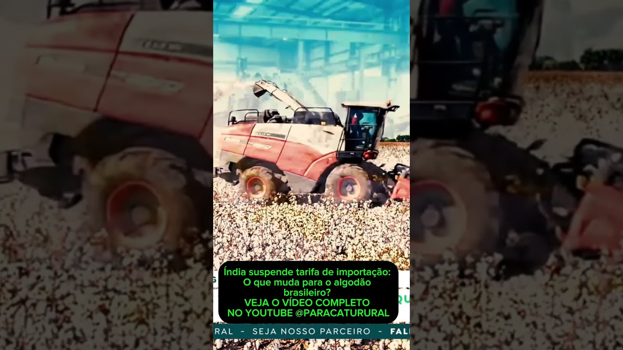 Índia suspende tarifa de importação: O que muda para o algodão brasileiro?