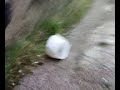 bomba de salfuman 02