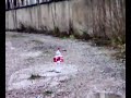 bomba de salfuman 02