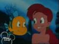 The little mermaid series - Aqua we belong to the sea 