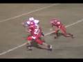 albany lions