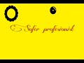 Sofer profesionist
