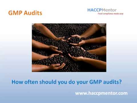 how to perform a gmp audit