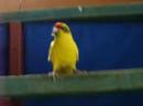 horst und herta-hedwig