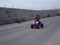 raptor  350