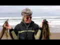 Boxing Day at Morro Bay spit pastiche