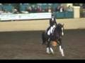 Night of the Horse 2008 - Steffen Peters Freestyle #1
