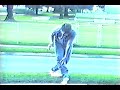 Standing on Ant Pile
