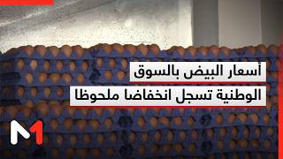 أسعار البيض بالسوق الوطنية تسجل انخفاضا ملحوظا