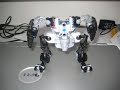 Bohrok Va Bodyguard Building Instructions