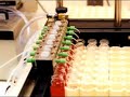 Animal Testing- It\