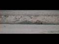 predators in a riverbed