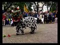 Lion Dance 060108