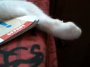 Milou