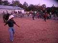 videos de El Micho de tetecala