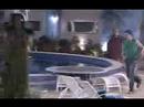 Bione by Marc�o
