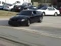 the most beautiful cobra in the world... unblievable?!