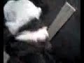 tookie pups 1