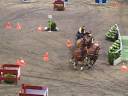 Stockholm International Horse Show 2008 - FEI World Cup? Driving i fyrspann Stockholm International Horse Show 2008 - FEI World Cup? Driving i fyrspann