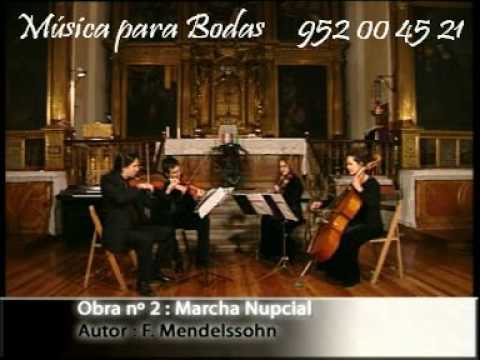 música de cuerda - Espectáculos