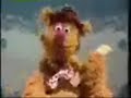 Jason Castro As Fozzie Bear Jason Castro As Fozzie Bear