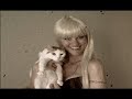 How to Give a Cat a Bath How to Give a Cat a Bath